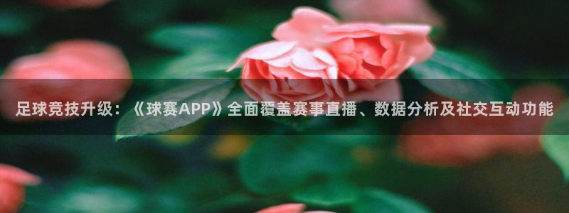 K1体育下载链接