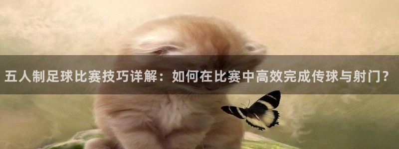K1体育官网